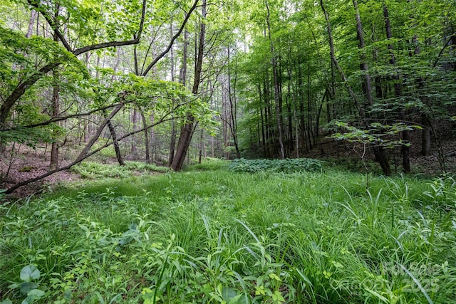 0 Lytle Mountain Rd, Old Fort, NC 28762 - photo 8