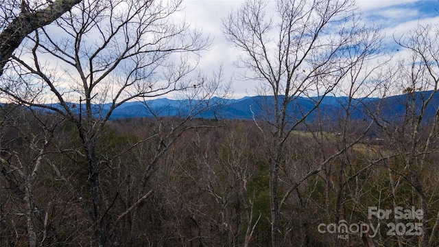 0 Lytle Mountain Rd, Old Fort, NC 28762 - photo 11