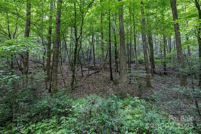 0 Lytle Mountain Rd, Old Fort, NC 28762 - photo 12
