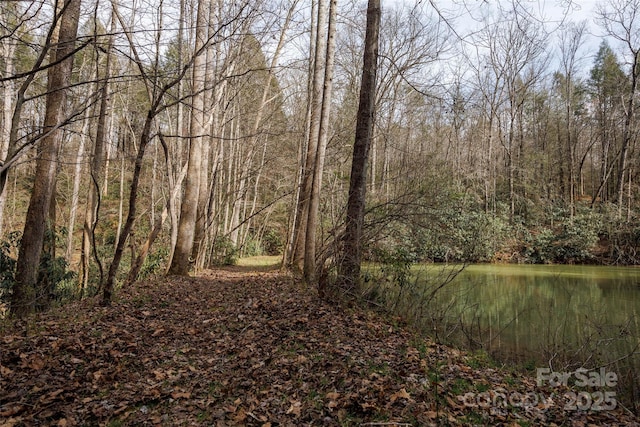 0 Lytle Mountain Rd, Old Fort, NC 28762 - photo 13