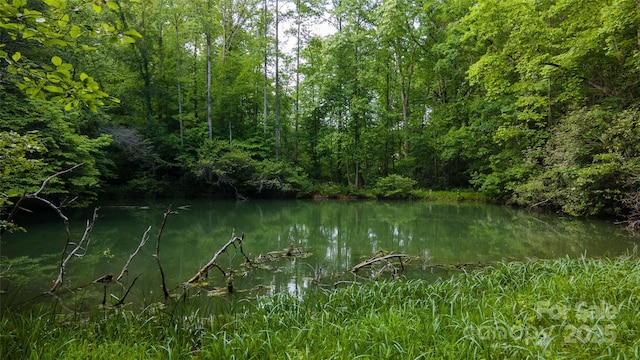 0 Lytle Mountain Rd, Old Fort, NC 28762 - photo 14