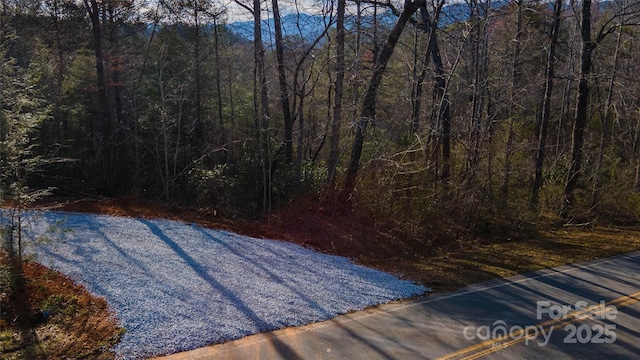 0 Lytle Mountain Rd, Old Fort, NC 28762 - photo 15
