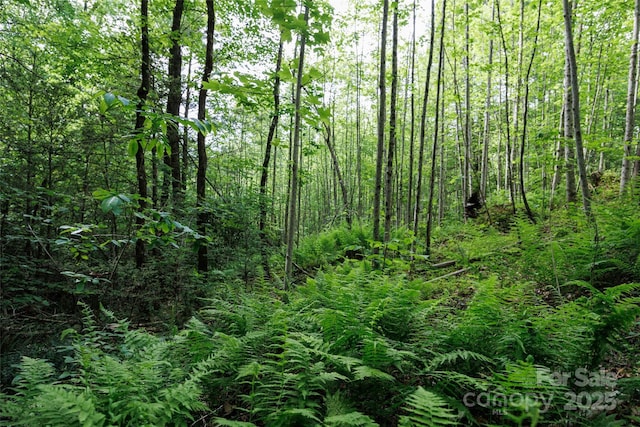 0 Lytle Mountain Rd, Old Fort, NC 28762 - photo 16