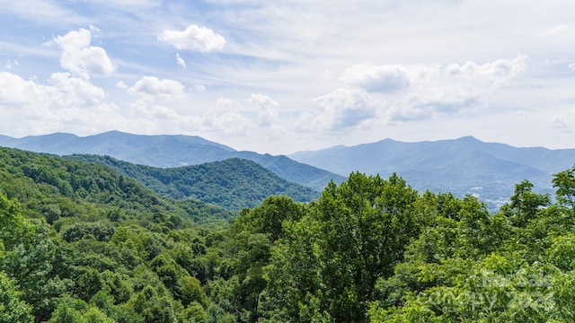 35 Twisted Trl, Waynesville NC, 28786 land for sale