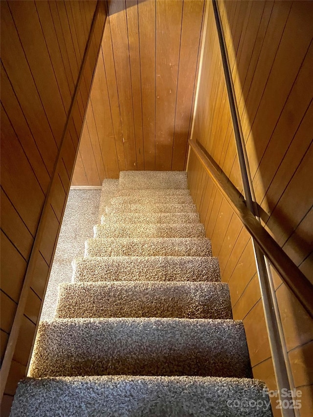 1111 S Skyland Dr, Mount Pleasant, NC 28124 - staircase with wooden walls
