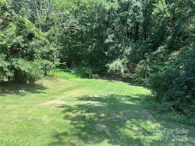 1111 S Skyland Dr, Mount Pleasant, NC 28124 - view of yard
