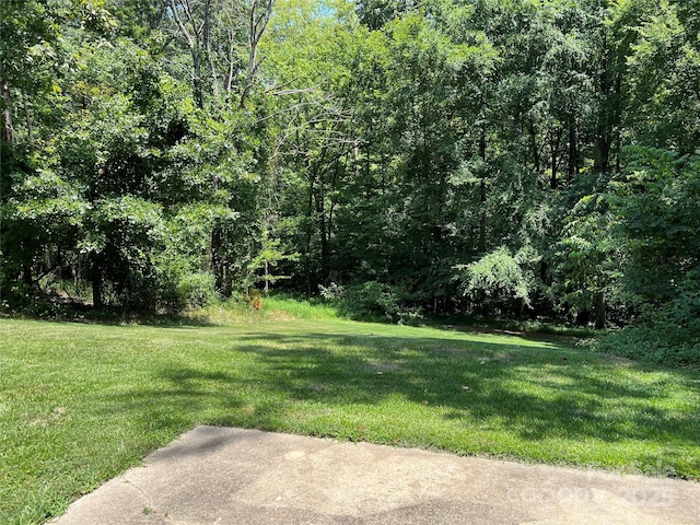 1111 S Skyland Dr, Mount Pleasant, NC 28124 - view of yard