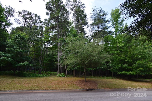 Listing photo 3 for 8013 Water View Dr Unit 4, Belmont NC 28012