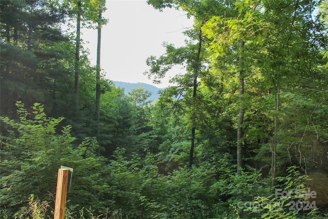 0000 Silverglen Way, Hendersonville NC, 28792 land for sale