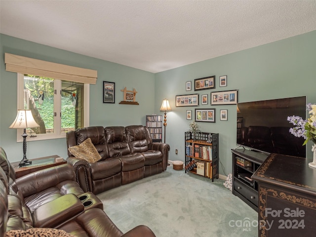 living room featuring carpet and a textured ceiling