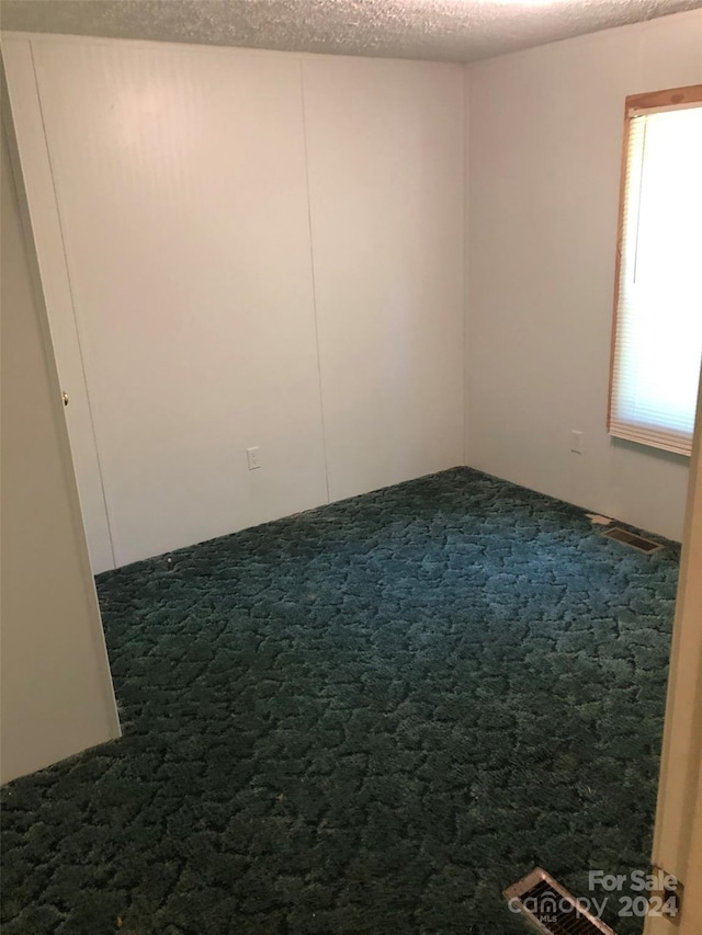 spare room with carpet floors and a textured ceiling