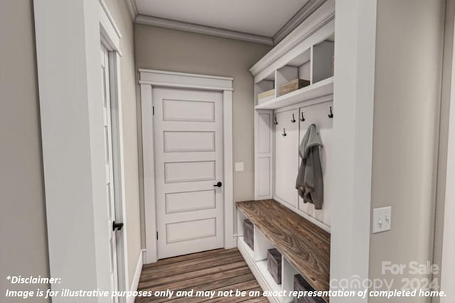 mudroom with dark wood-type flooring and crown molding