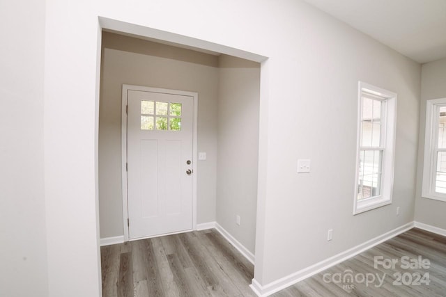 foyer featuring a healthy amount of sunlight and light wood-type flooring