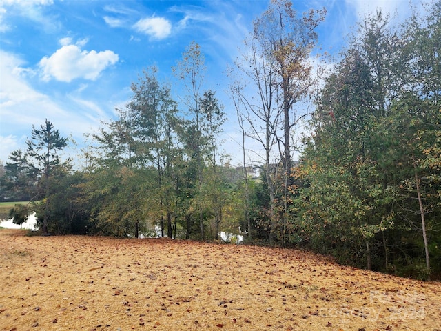 view of yard with a water view