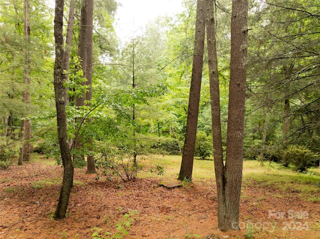 50 Forest Rd, Asheville NC, 28803 land for sale