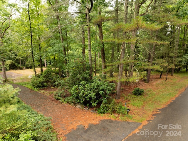 Listing photo 2 for 50 Forest Rd, Asheville NC 28803