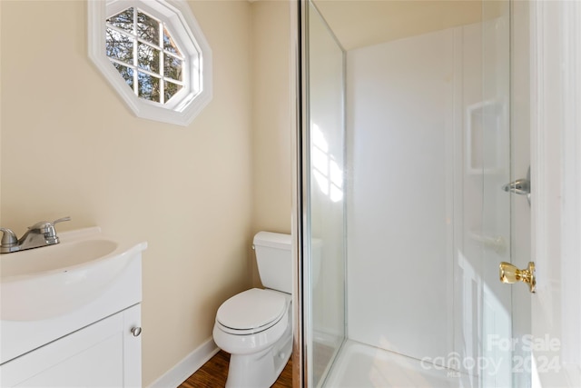 bathroom featuring a shower, vanity, and toilet