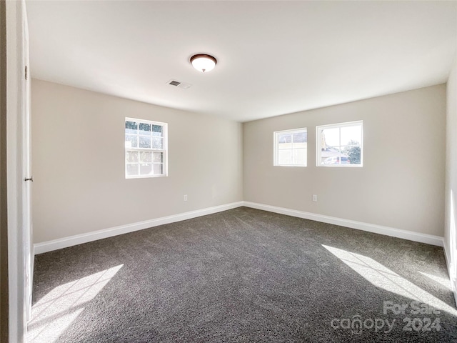 carpeted spare room with plenty of natural light