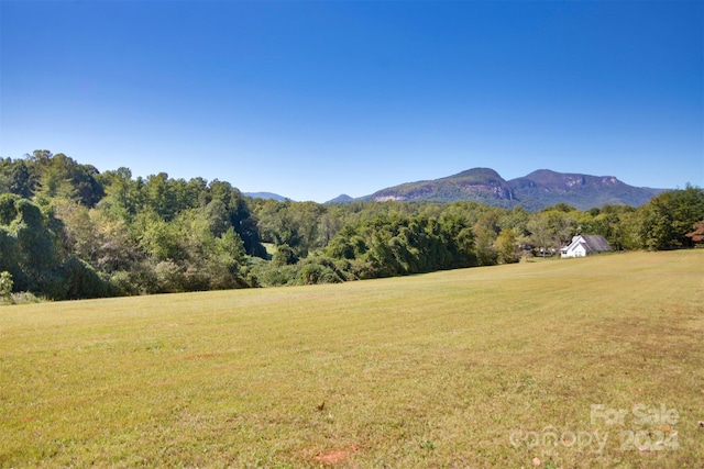 LOT13 Buffalo Creek Rd Unit 13, Lake Lure NC, 28746 land for sale