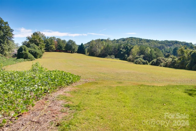 Listing photo 3 for LOT13 Buffalo Creek Rd Unit 13, Lake Lure NC 28746