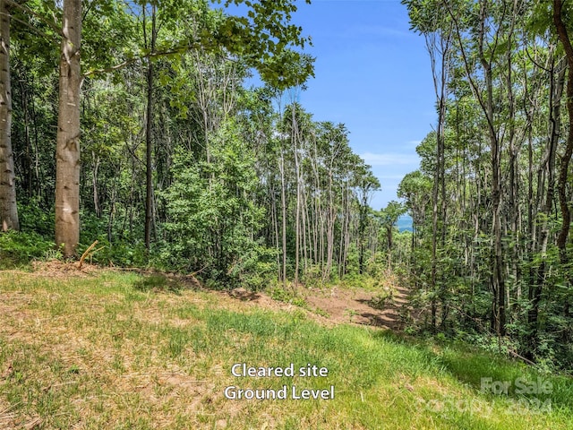 238 Nottingham Dr, Mill Spring, NC 28756