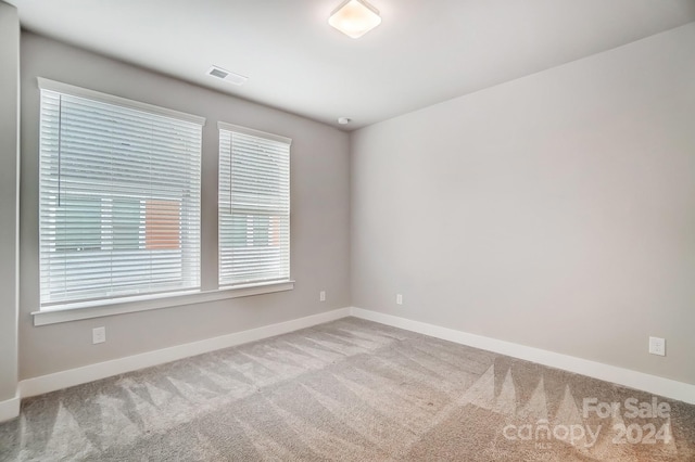 spare room with light carpet and a healthy amount of sunlight