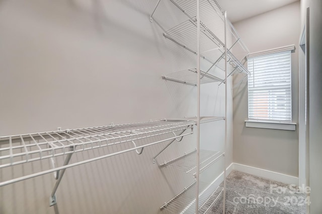 spacious closet with carpet flooring