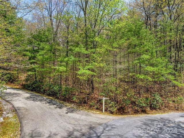 HM16 Mountain View Rd, Lake Toxaway NC, 28747 land for sale