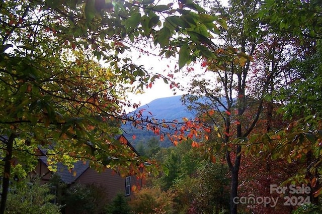 Listing photo 2 for HM16 Mountain View Rd, Lake Toxaway NC 28747