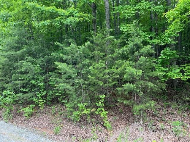 TBD Woodchuck Ln Unit 21, Marion NC, 28752 land for sale