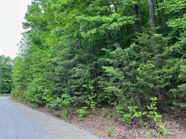 Listing photo 2 for TBD Woodchuck Ln Unit 21, Marion NC 28752