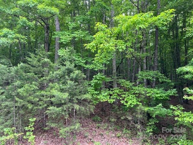 Listing photo 3 for TBD Woodchuck Ln Unit 21, Marion NC 28752