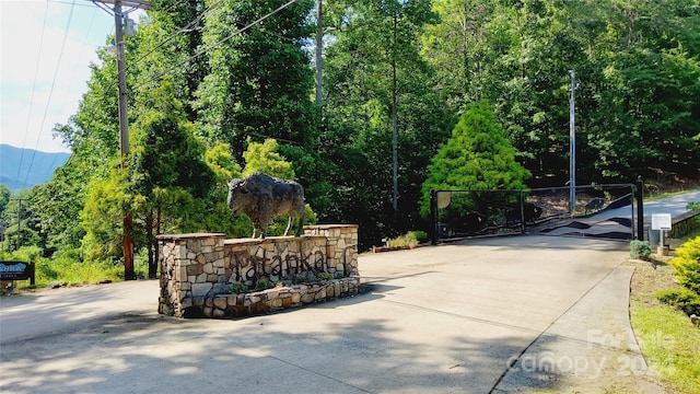 00 Wambli Pass 20 & 21, Lake Lure, NC 28746 - photo 2