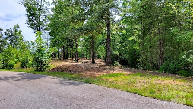 00 Wambli Pass 20 & 21, Lake Lure, NC 28746 - photo 4