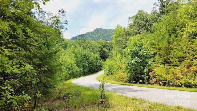 00 Wambli Pass 20 & 21, Lake Lure, NC 28746 - photo 10
