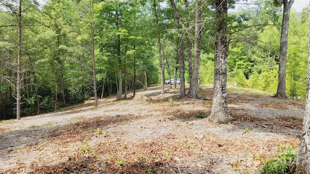 00 Wambli Pass 20 & 21, Lake Lure, NC 28746 - photo 13