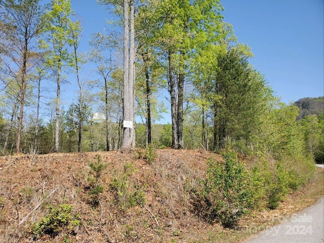 00 Wambli Pass 20 & 21, Lake Lure, NC 28746 - photo 18