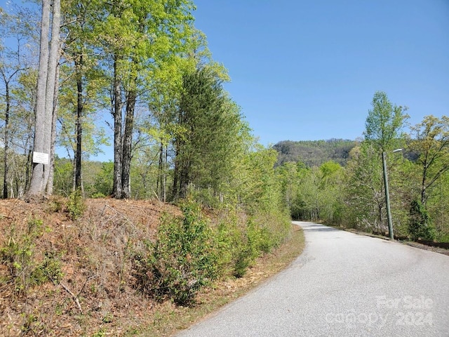 00 Wambli Pass 20 & 21, Lake Lure, NC 28746 - photo 19