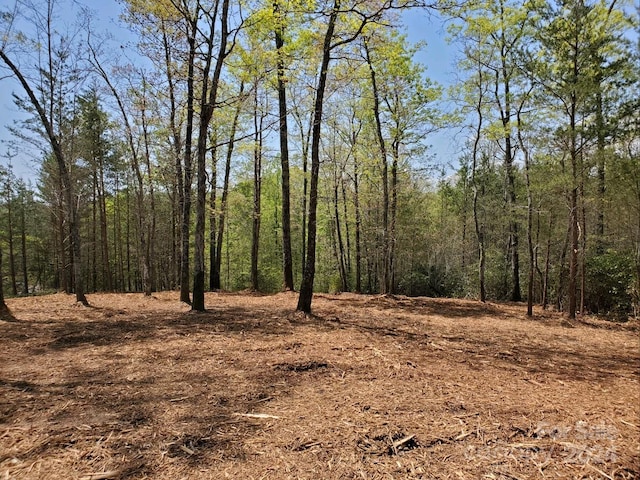 00 Wambli Pass 20 & 21, Lake Lure, NC 28746 - photo 23