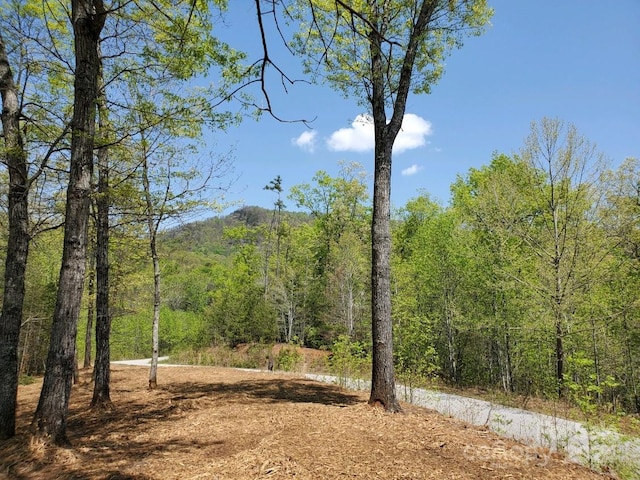 00 Wambli Pass 20 & 21, Lake Lure, NC 28746 - photo 26
