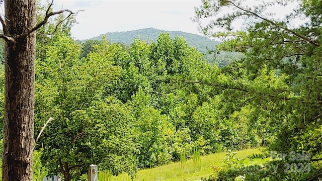 00 Wambli Pass 20 & 21, Lake Lure, NC 28746 - photo 33