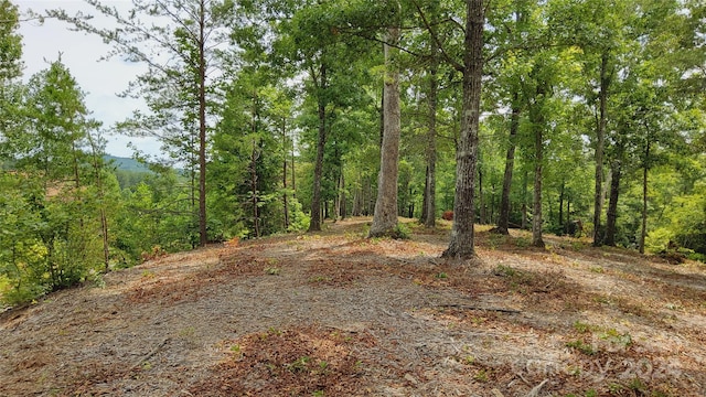 00 Wambli Pass 20 & 21, Lake Lure, NC 28746 - photo 36
