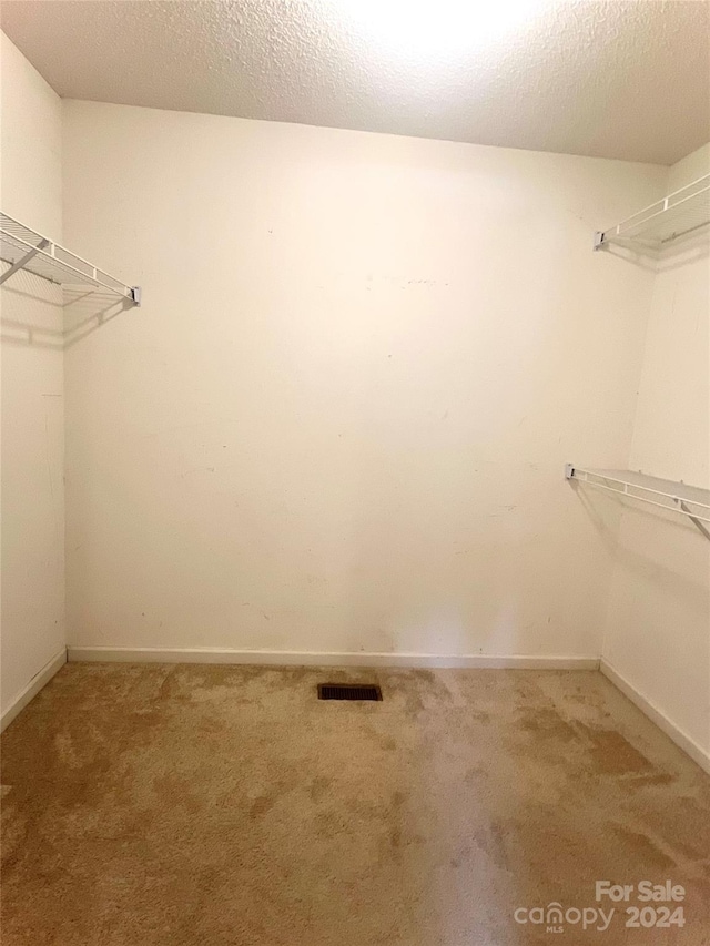 spacious closet with carpet flooring