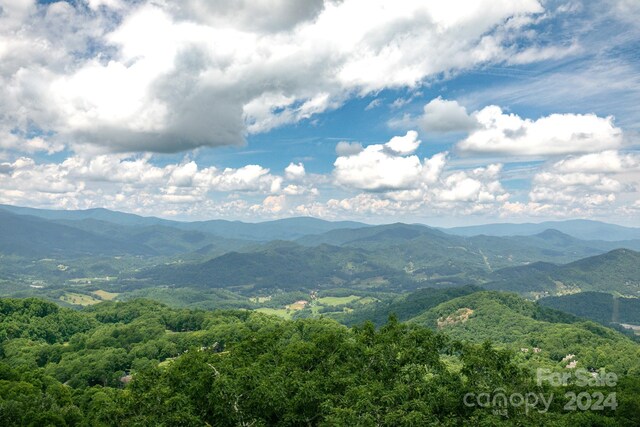 30 Club Villa Ct Unit B/1, Burnsville, NC 28714 - photo 26