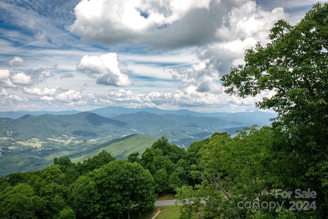 30 Club Villa Ct Unit B/1, Burnsville, NC 28714 - photo 27