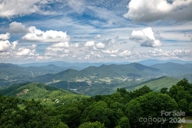 30 Club Villa Ct Unit B/1, Burnsville, NC 28714 - photo 2
