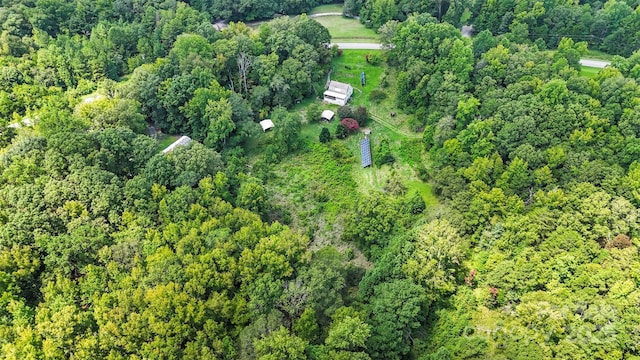 bird's eye view