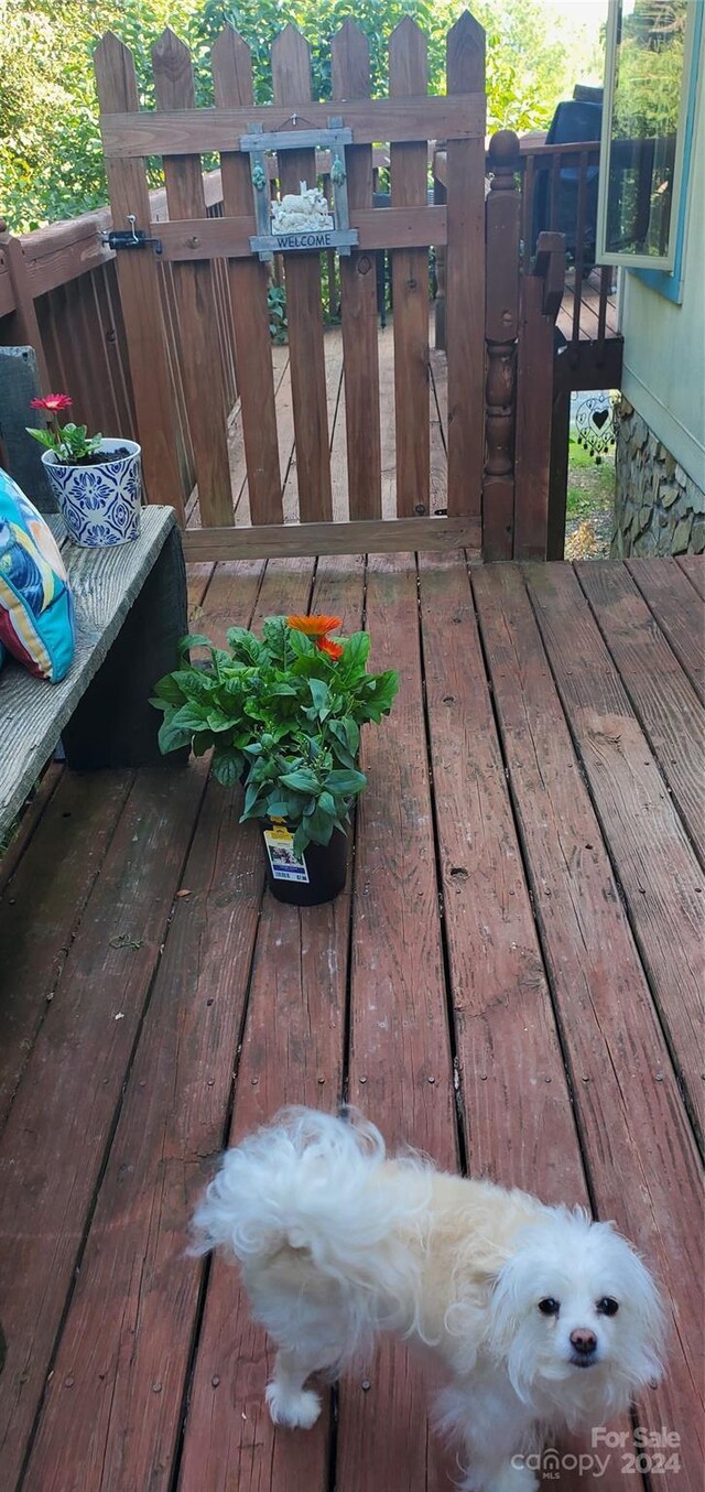 view of wooden deck