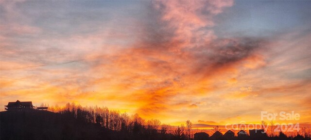 view of nature at dusk