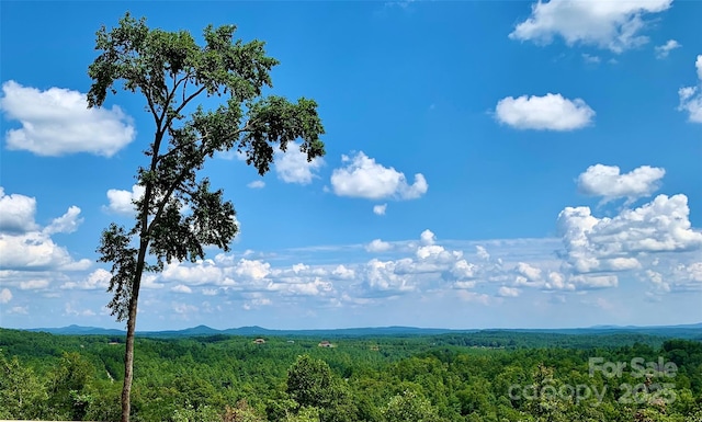 property view of mountains with a view of trees